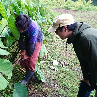 【レポート】安全でおいしいを追求する友作農園